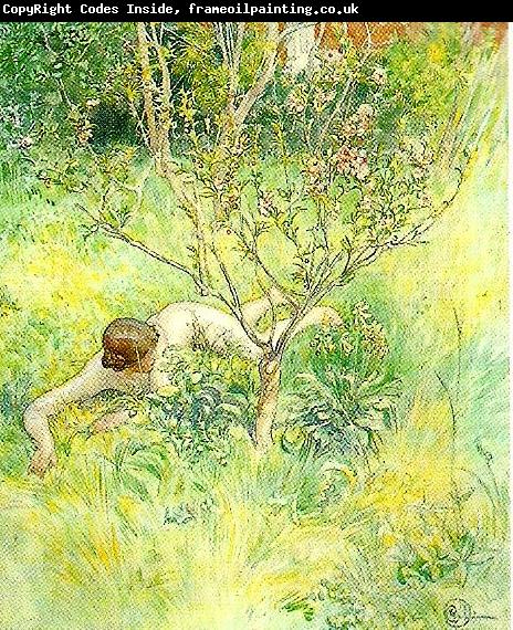 Carl Larsson naken flicka under prunusbusken